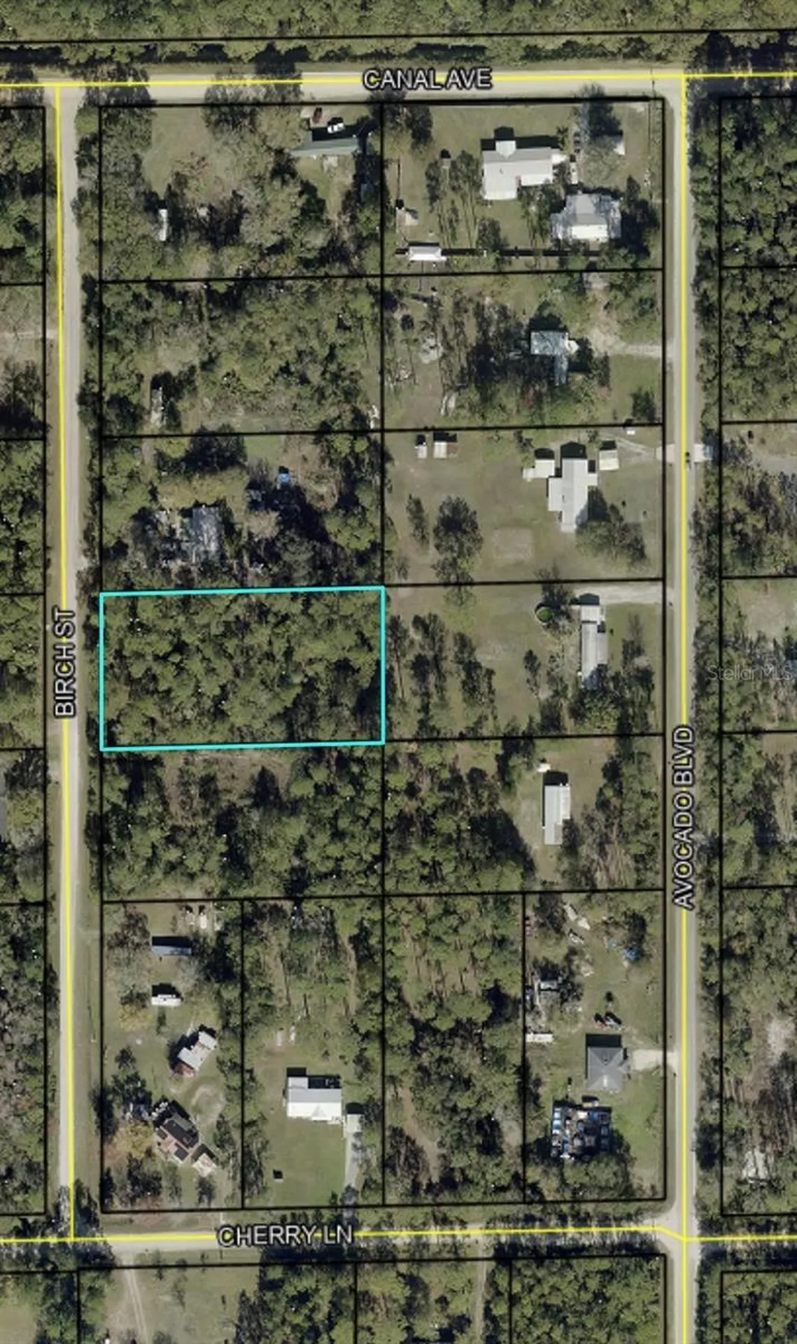 1115 Birch Street Bunnell FL 32110