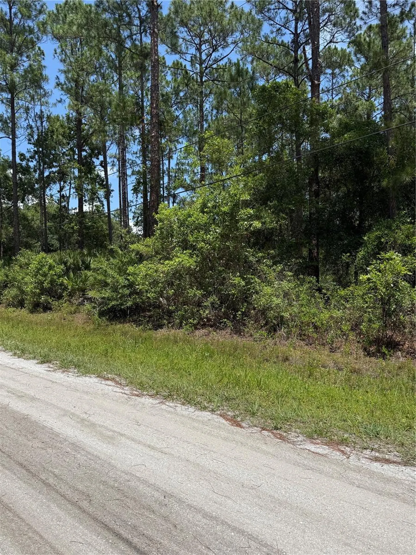 1115 Birch Street Bunnell FL 32110