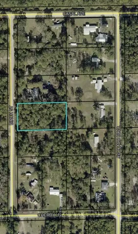 1115 Birch Street Bunnell FL 32110