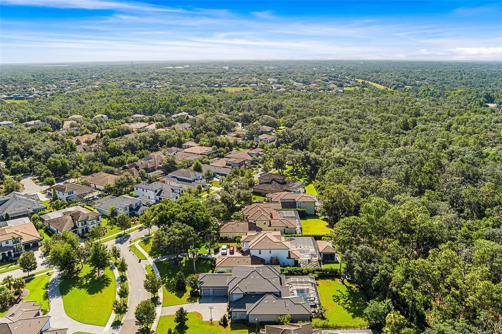 14704 Fishhawk Preserve Drive Lithia FL 33547