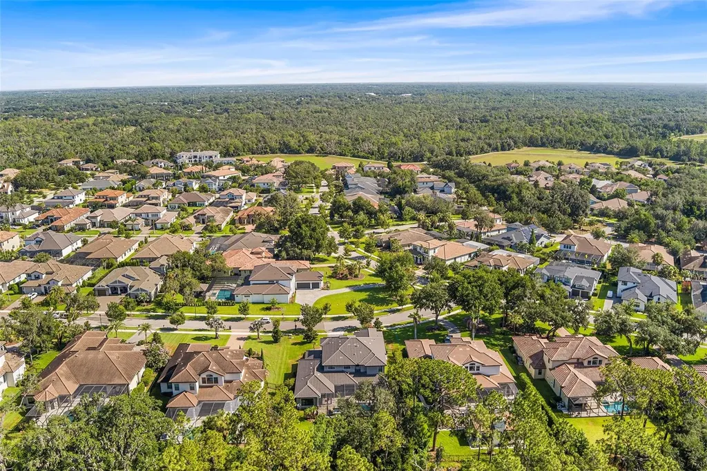 14704 Fishhawk Preserve Drive Lithia FL 33547