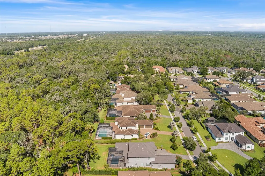 14704 Fishhawk Preserve Drive Lithia FL 33547