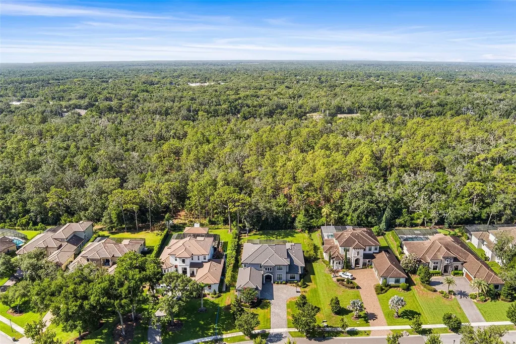 14704 Fishhawk Preserve Drive Lithia FL 33547