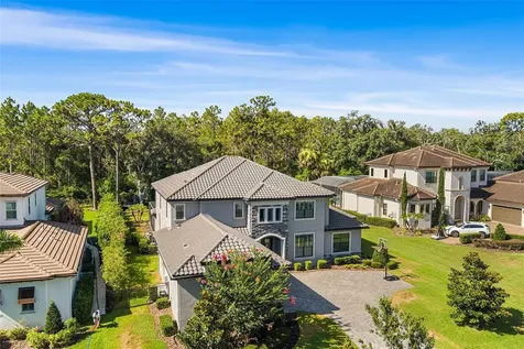 14704 Fishhawk Preserve Drive Lithia FL 33547