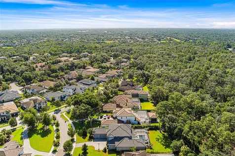 14704 Fishhawk Preserve Drive Lithia FL 33547