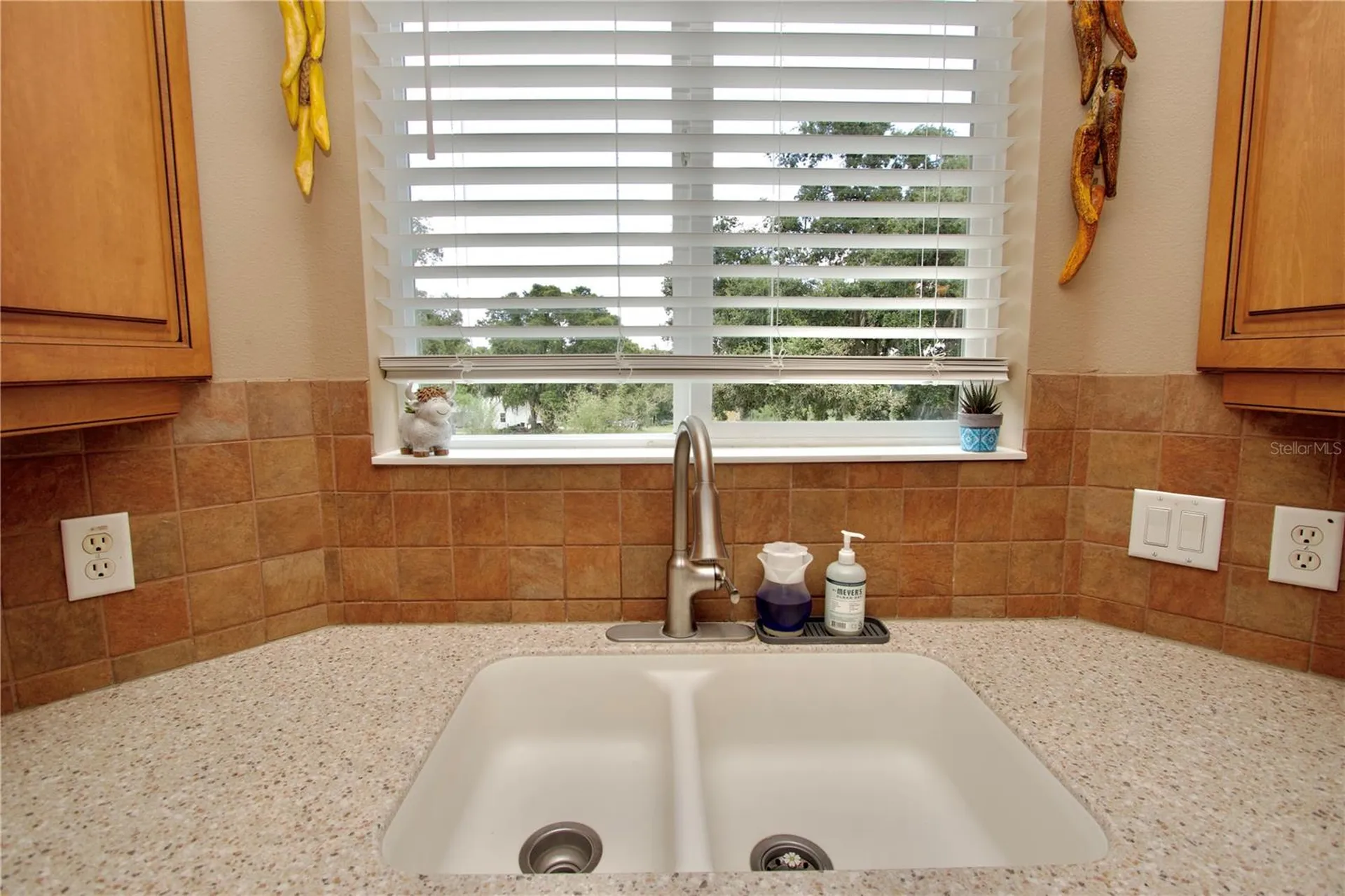 32112 Jack Russell Court Dade City FL 33525