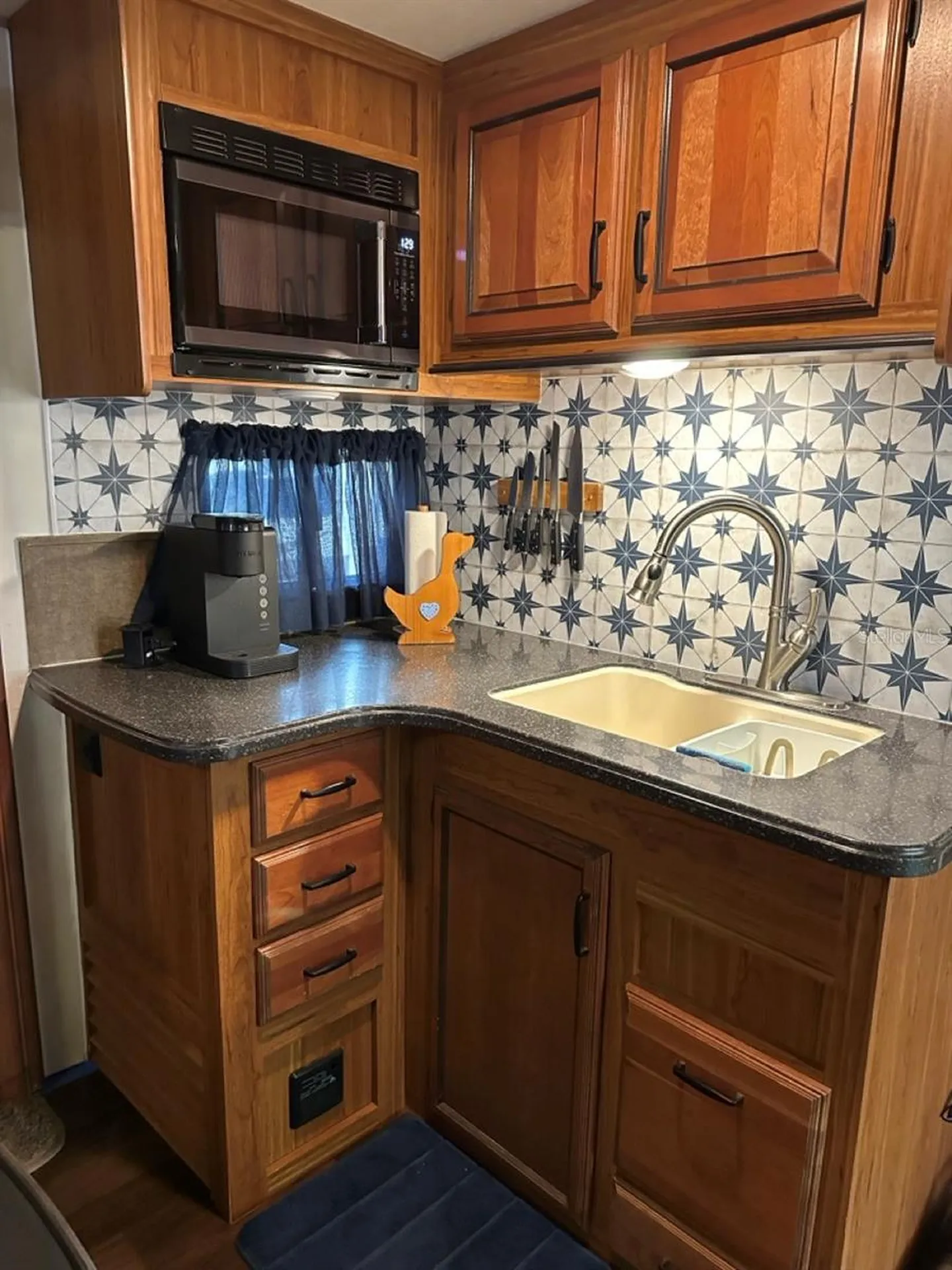 25208 NE 143rd Street Salt Springs FL 32134