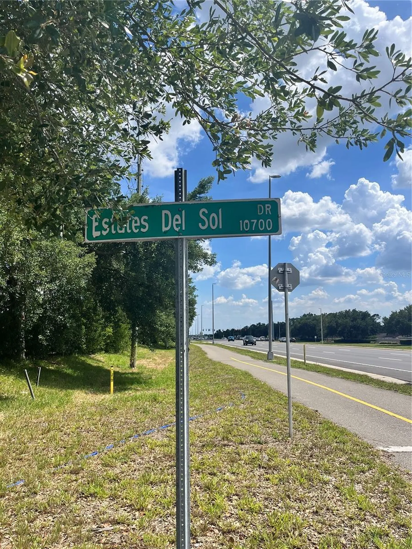 10907 Estates Del Sol Drive Riverview FL 33579