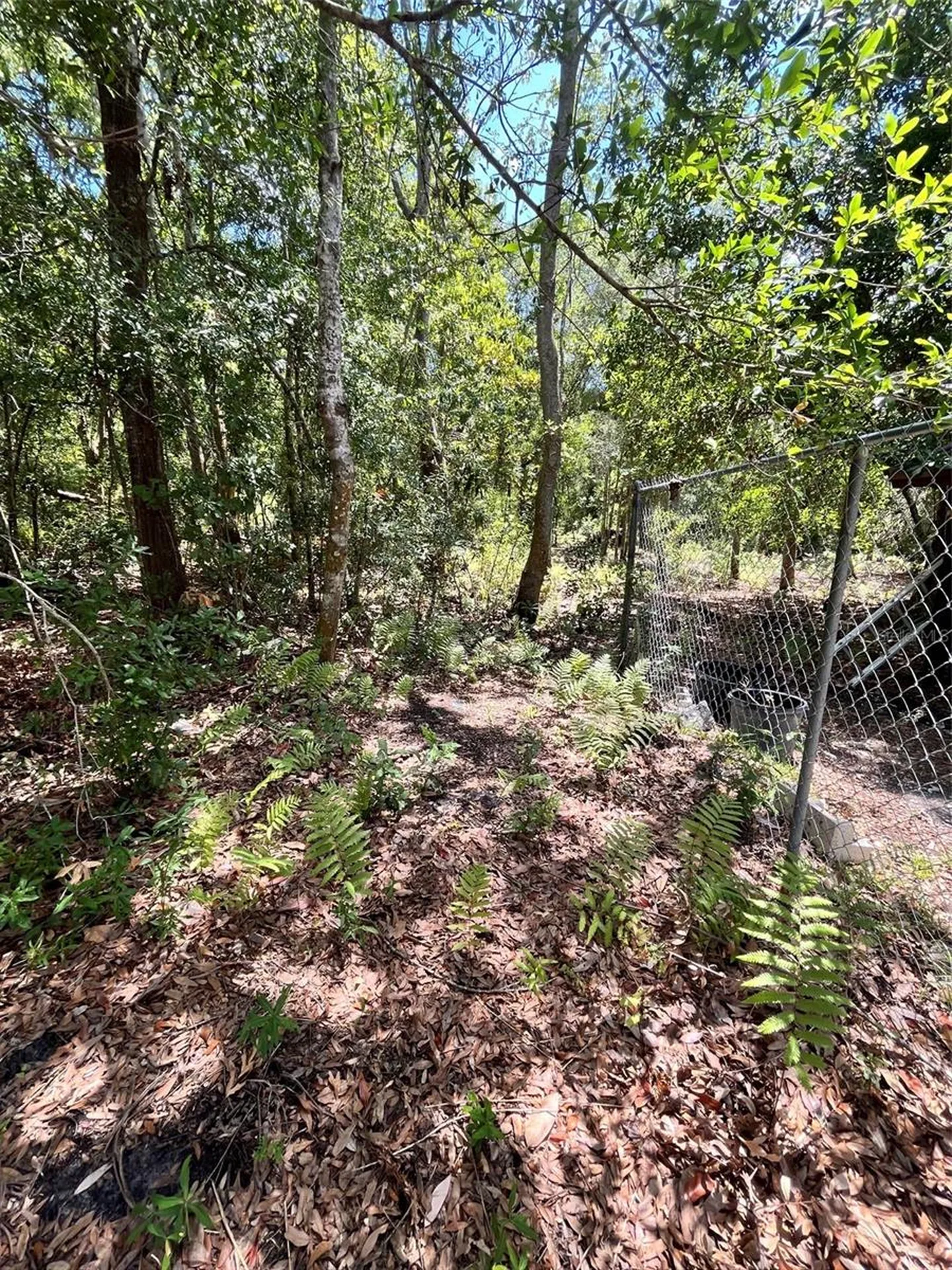 10907 Estates Del Sol Drive Riverview FL 33579