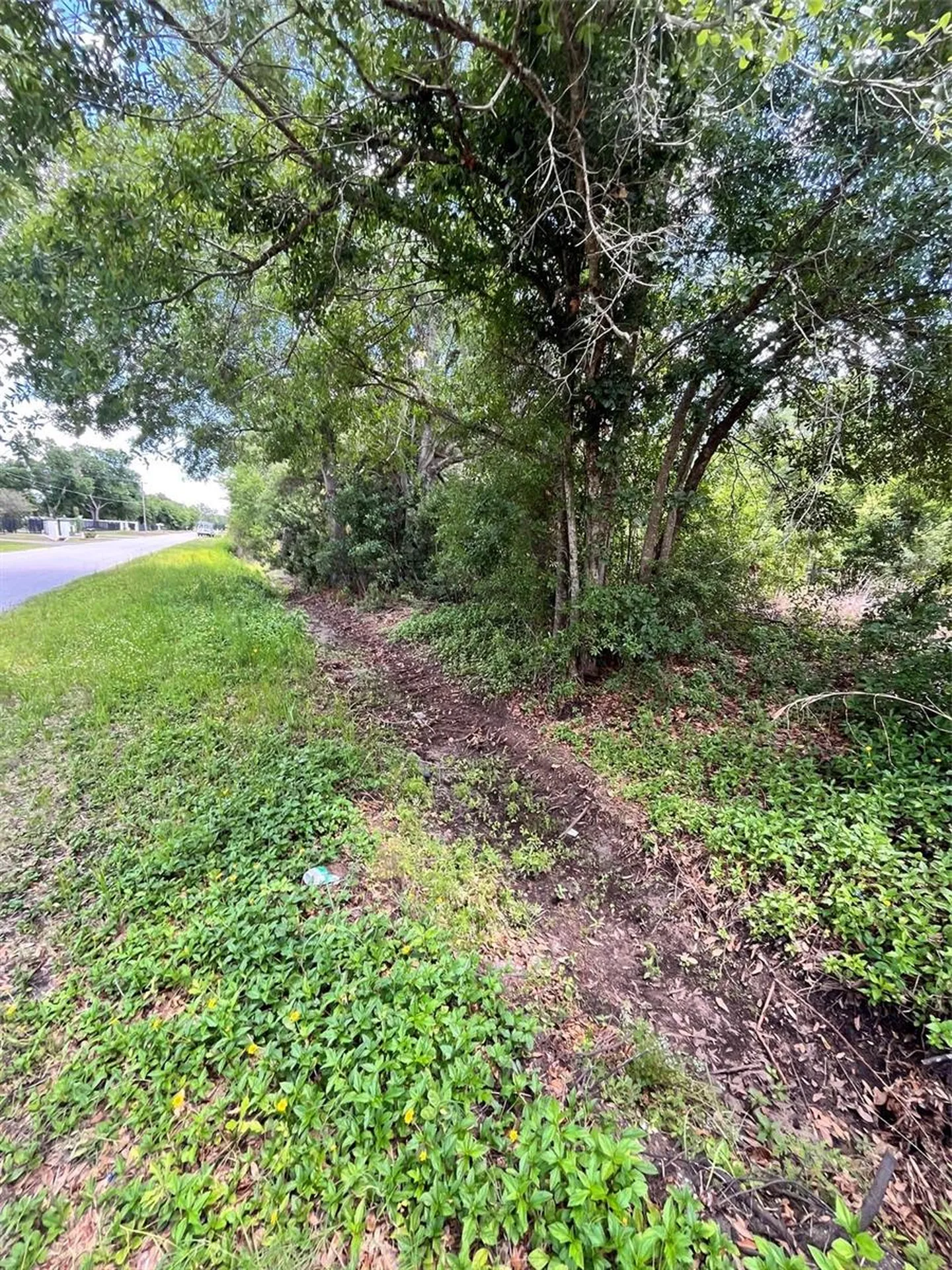 10907 Estates Del Sol Drive Riverview FL 33579