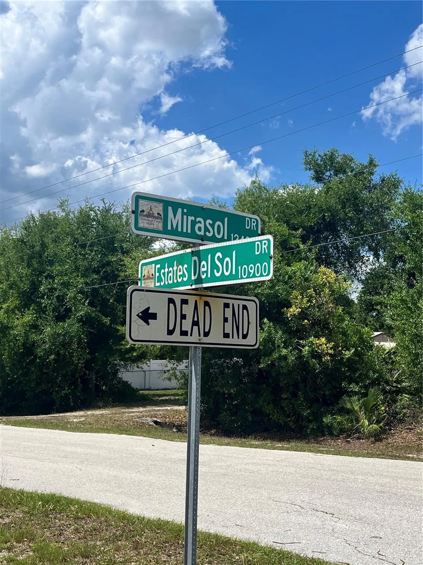 10907 Estates Del Sol Drive Riverview FL 33579