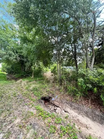 10907 Estates Del Sol Drive Riverview FL 33579