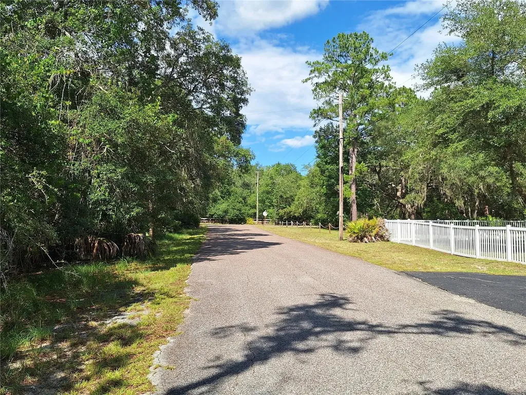 8213 Riverview Road Fanning Springs FL 32693