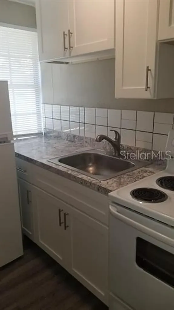 317 E Tarpon Avenue Tarpon Springs FL 34689