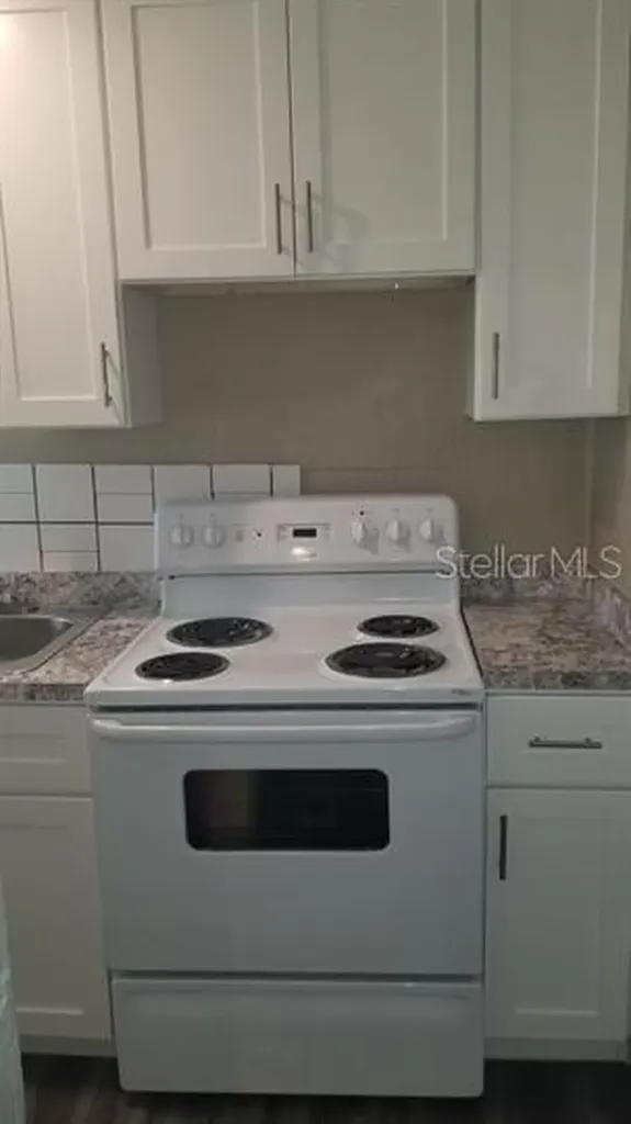 317 E Tarpon Avenue Tarpon Springs FL 34689