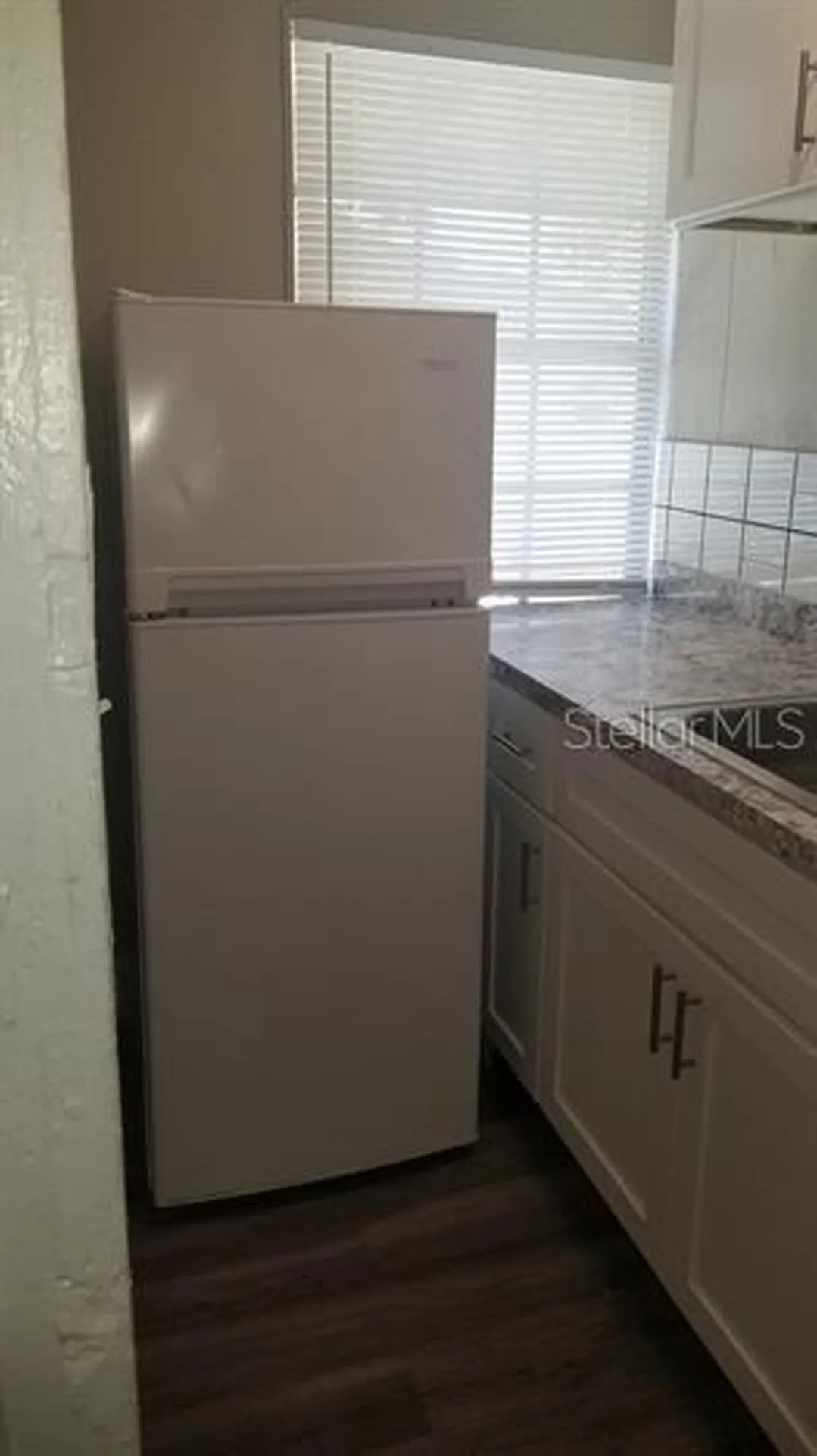 317 E Tarpon Avenue Tarpon Springs FL 34689