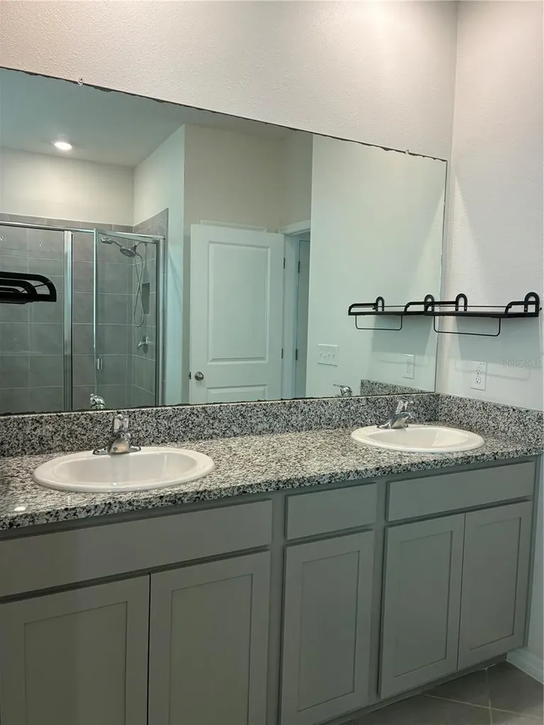 8737 Bower Bass Circle Wesley Chapel FL 33545