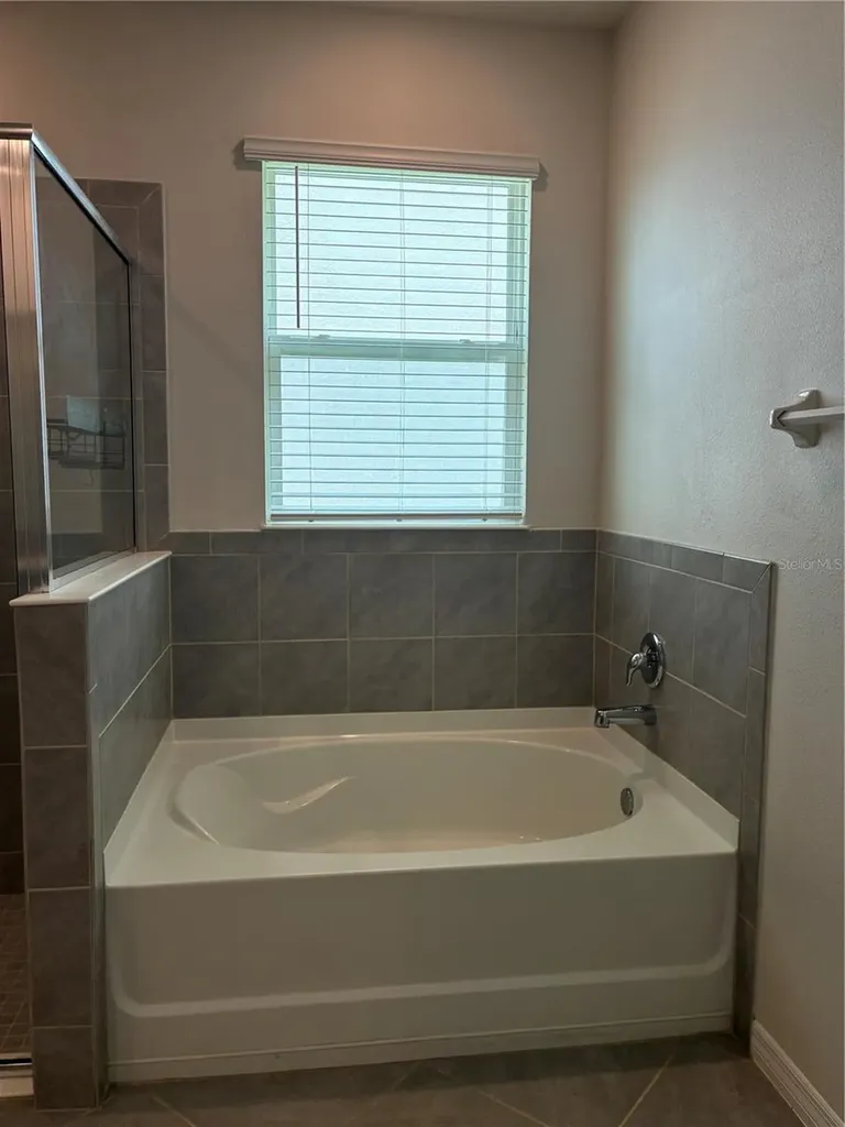 8737 Bower Bass Circle Wesley Chapel FL 33545