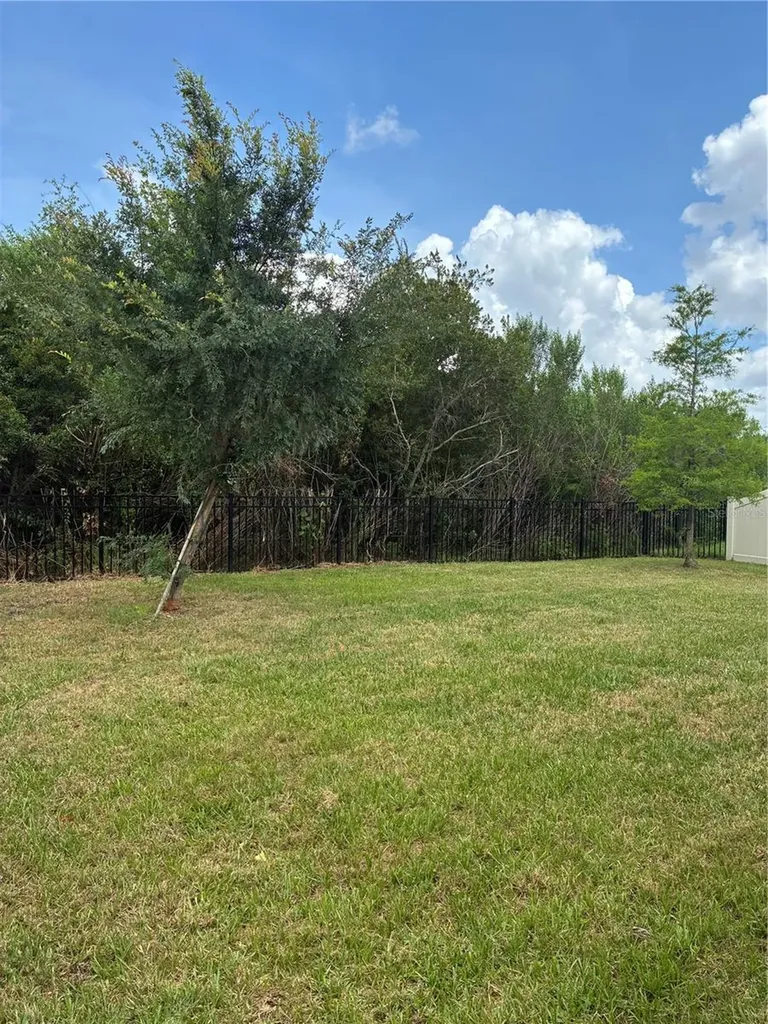 8737 Bower Bass Circle Wesley Chapel FL 33545