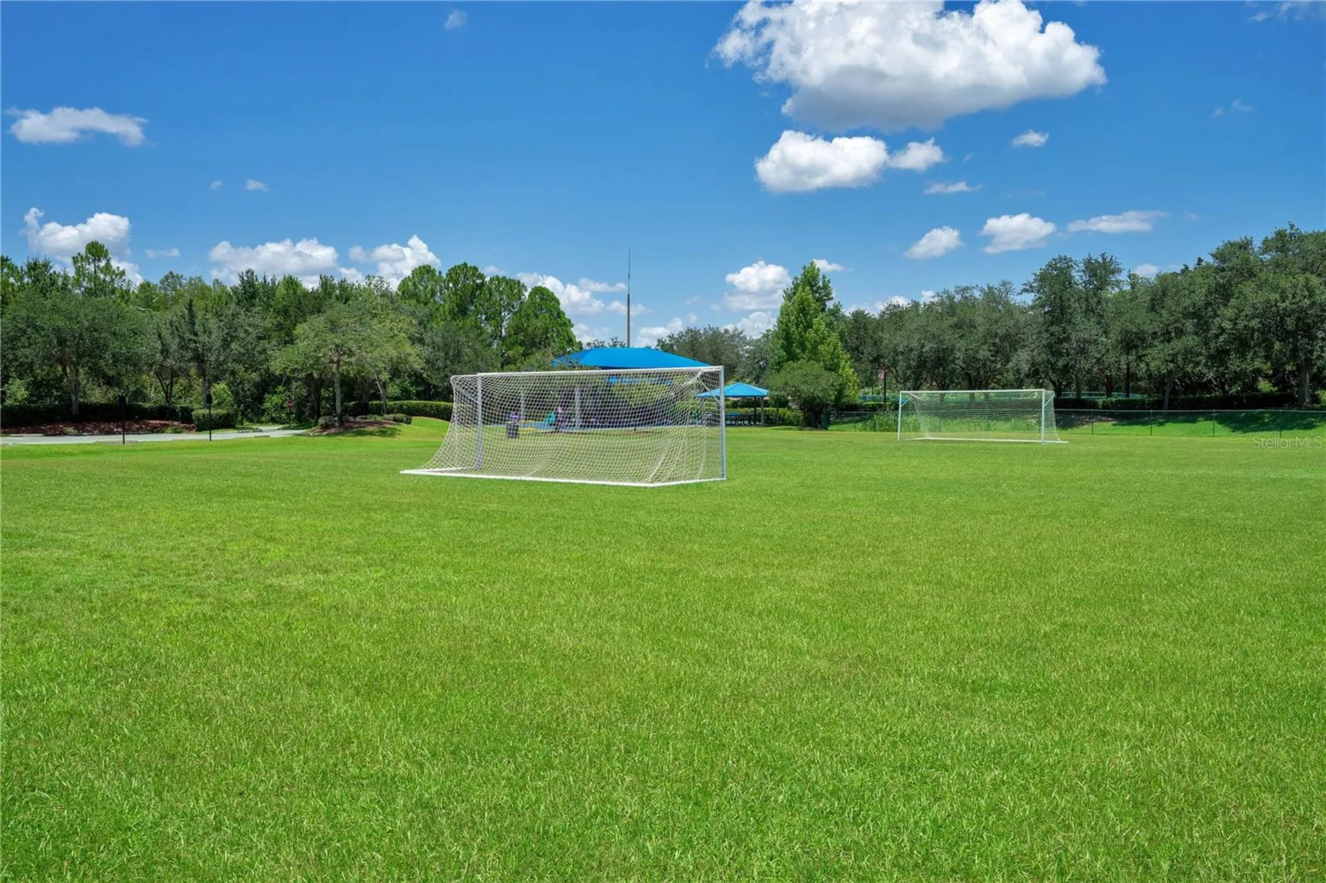 2006 Avenel Street Orlando FL 32828