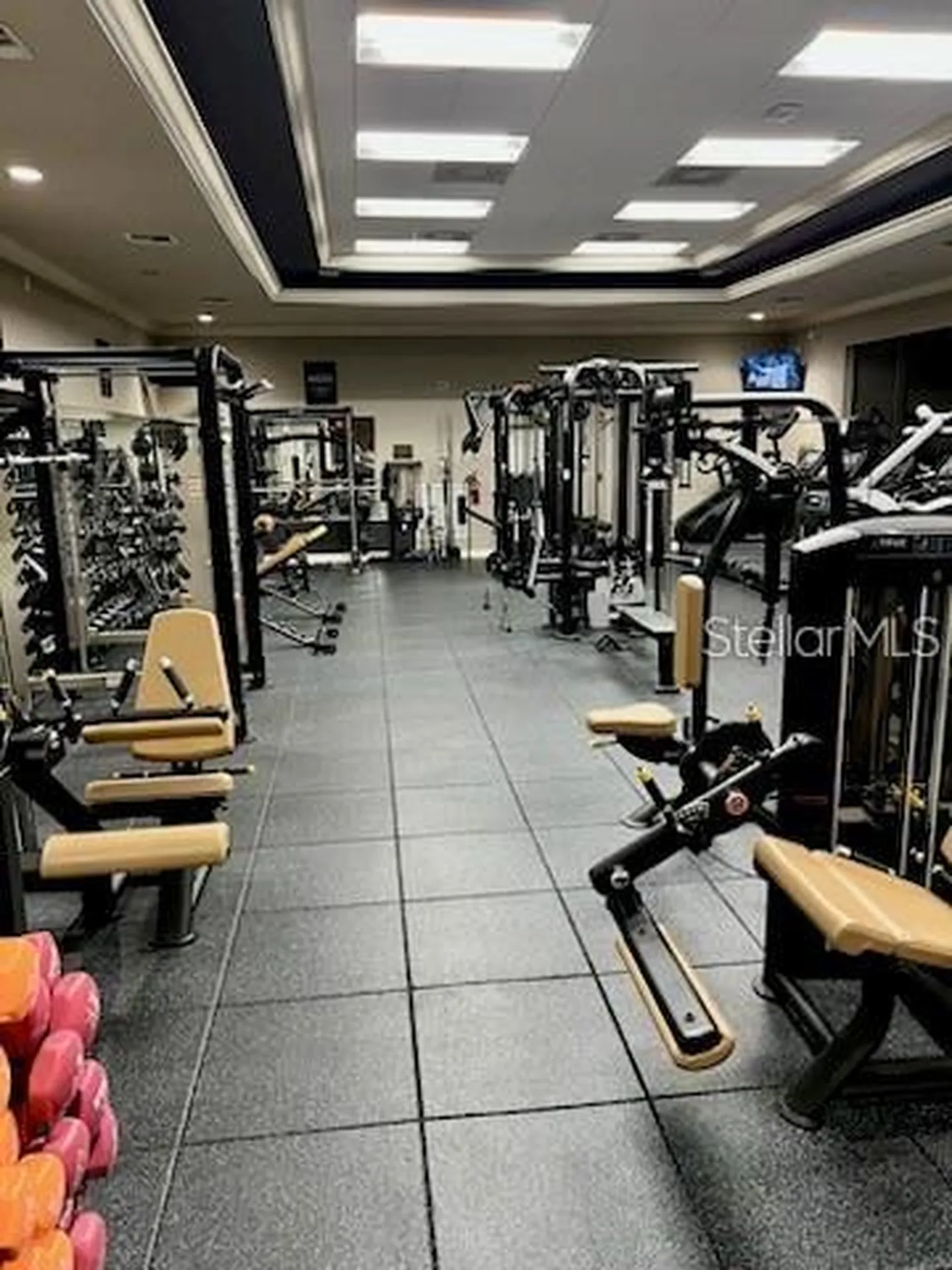 2006 Avenel Street Orlando FL 32828