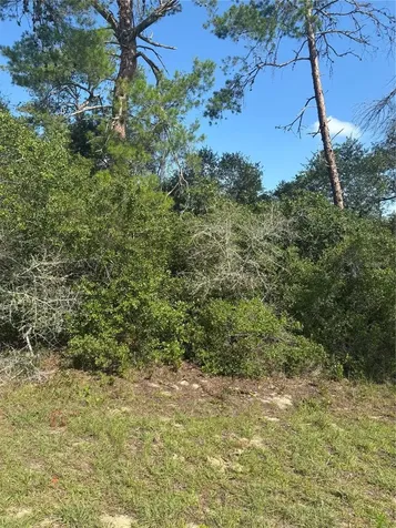16698 SW 21st Circle Ocala FL 34473