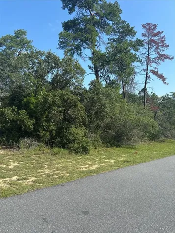 16698 SW 21st Circle Ocala FL 34473