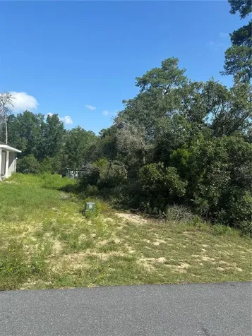 16698 SW 21st Circle Ocala FL 34473