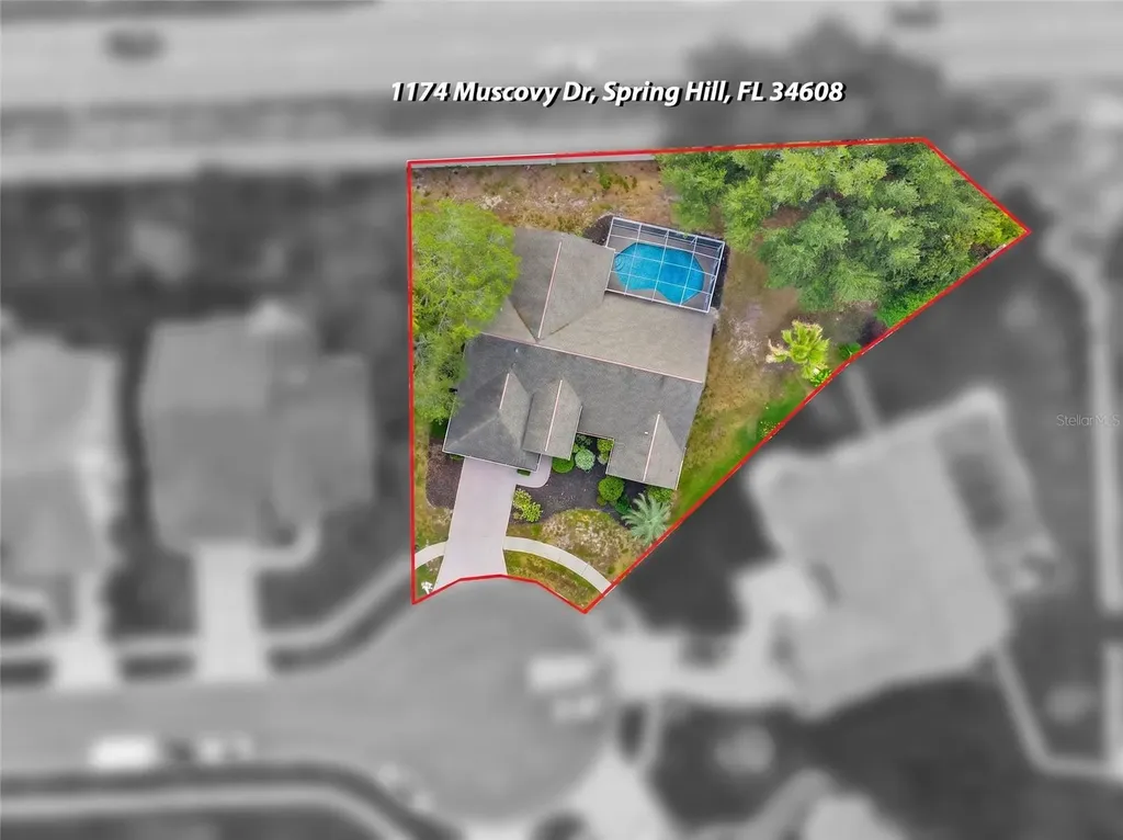 1174 Muscovy Drive Spring Hill FL 34608