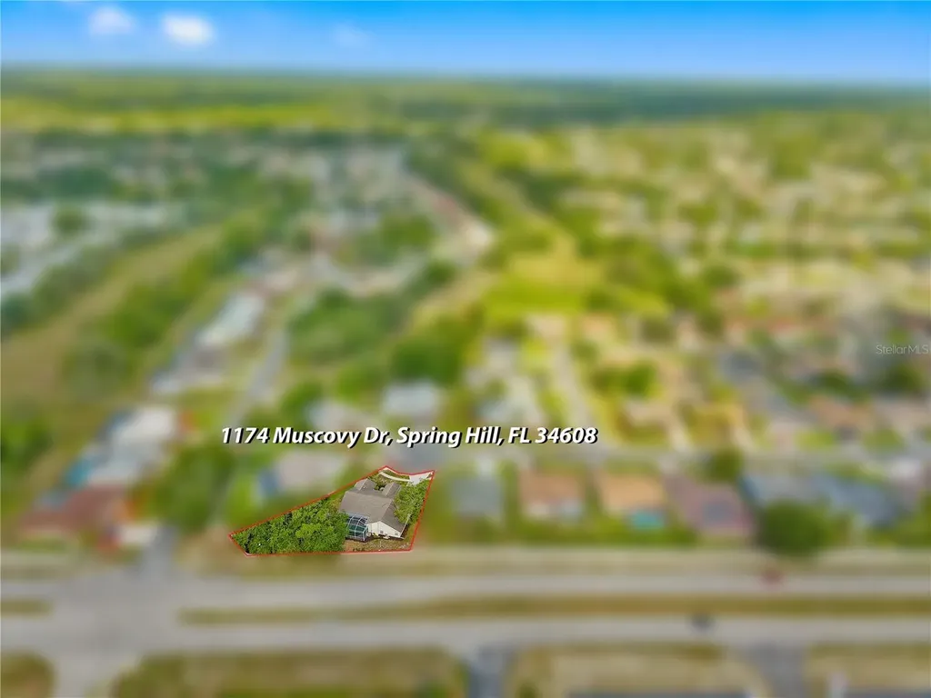 1174 Muscovy Drive Spring Hill FL 34608