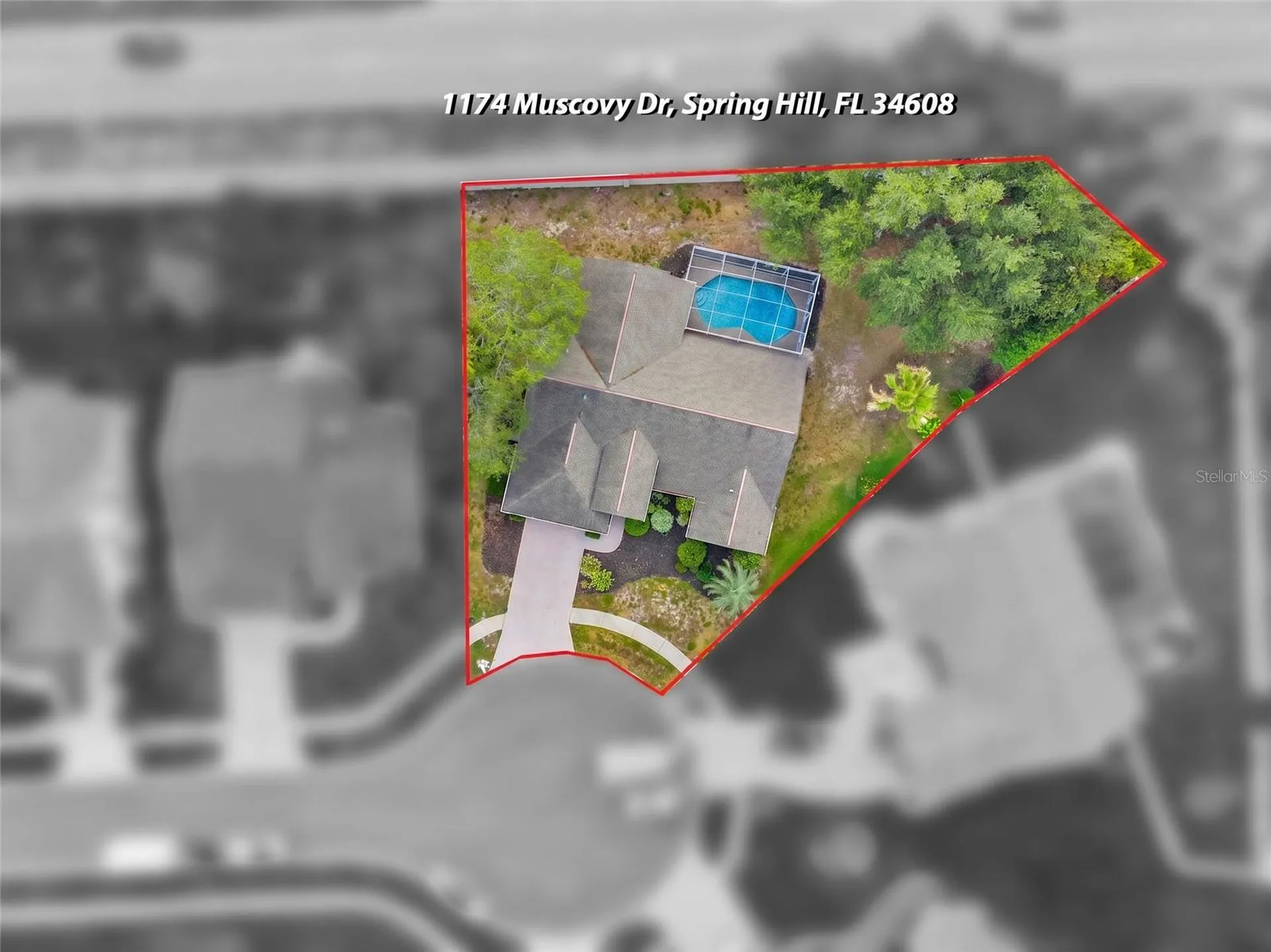 1174 Muscovy Drive Spring Hill FL 34608