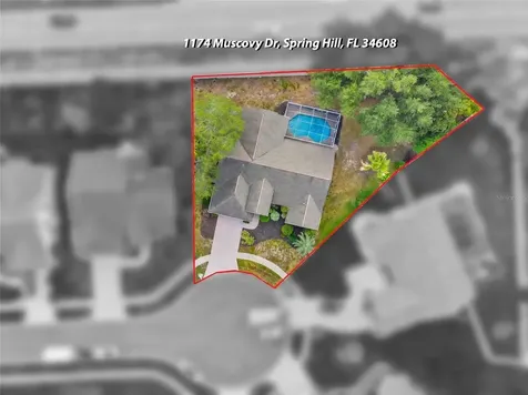1174 Muscovy Drive Spring Hill FL 34608