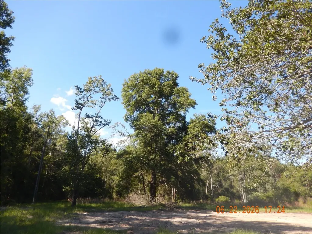 761 SW Sunview Street Fort White FL 32038