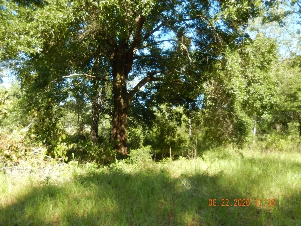 761 SW Sunview Street Fort White FL 32038