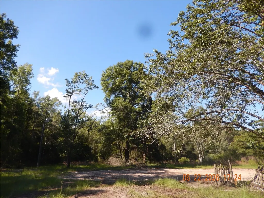 761 SW Sunview Street Fort White FL 32038
