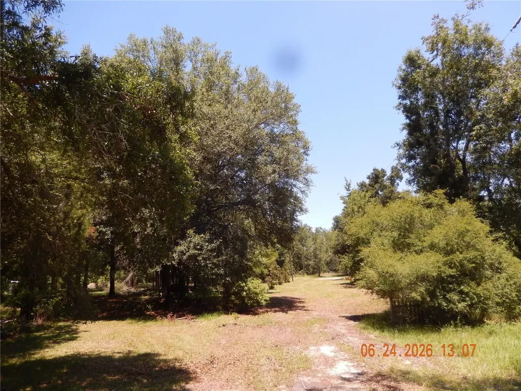 761 SW Sunview Street Fort White FL 32038