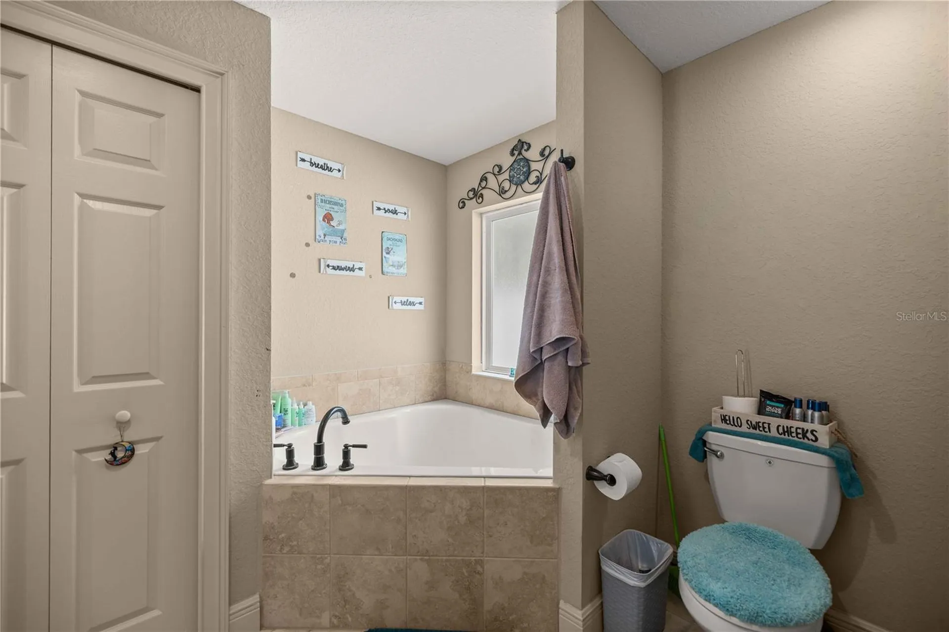 162 Guava Terrace Ocklawaha FL 32179