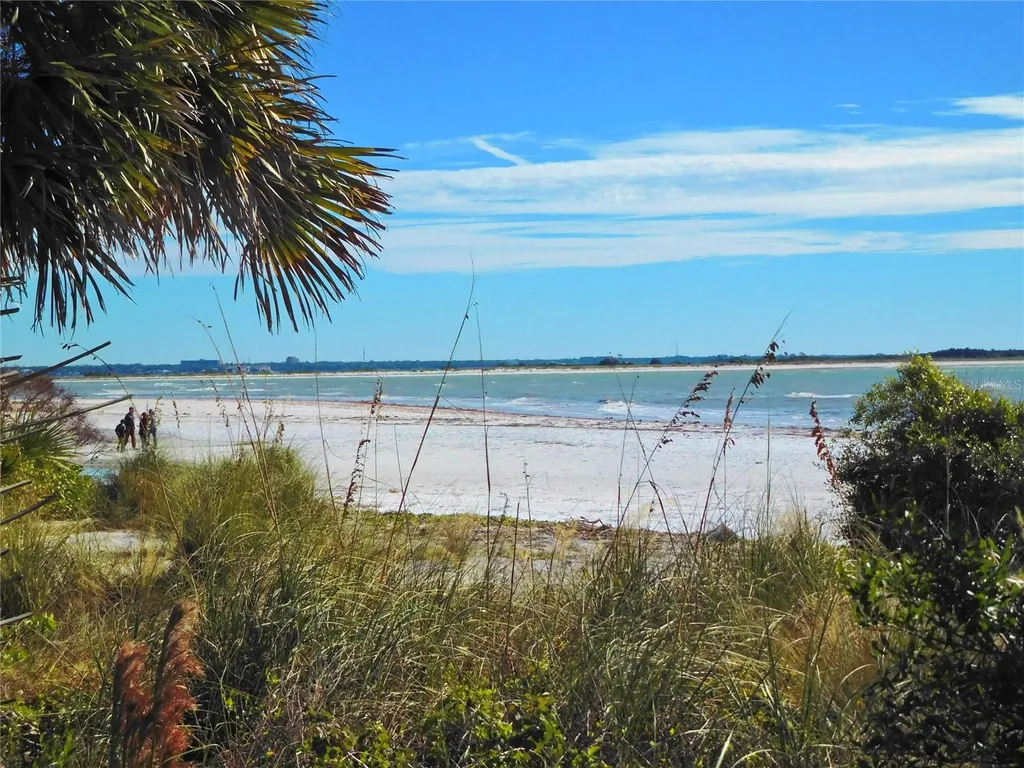 9 Forbes Place Dunedin FL 34698