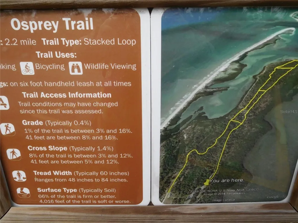 9 Forbes Place Dunedin FL 34698