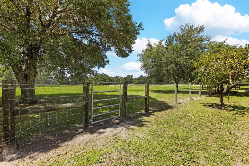 9897 NW 160 Avenue Morriston FL 32668