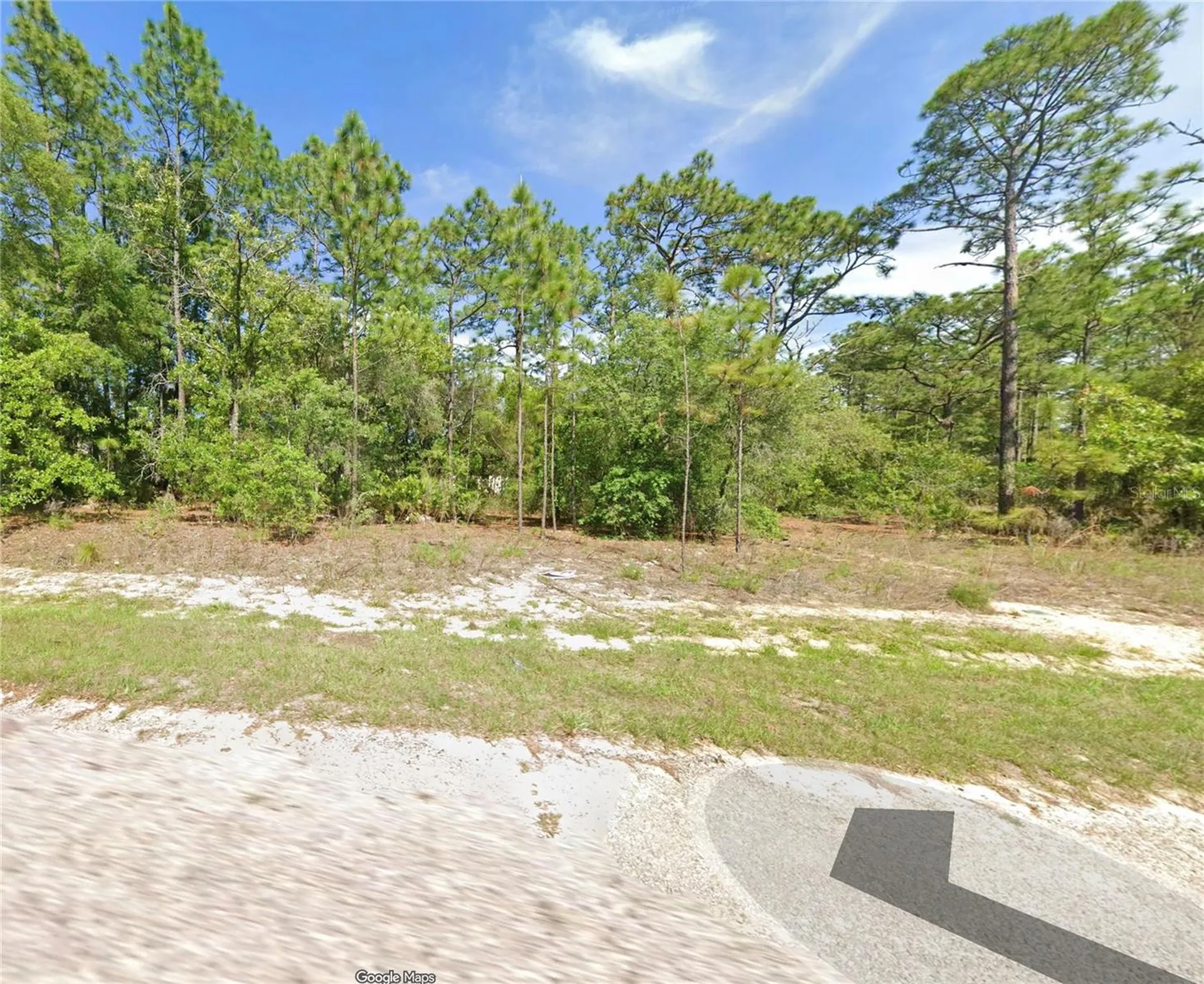 1956 W Wavecrest Drive Dunnellon FL 34434