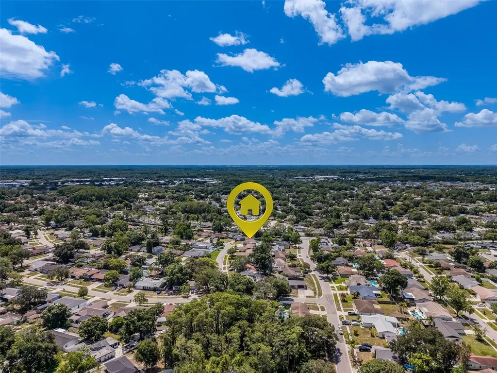 4228 Briarberry Lane Tampa FL 33624