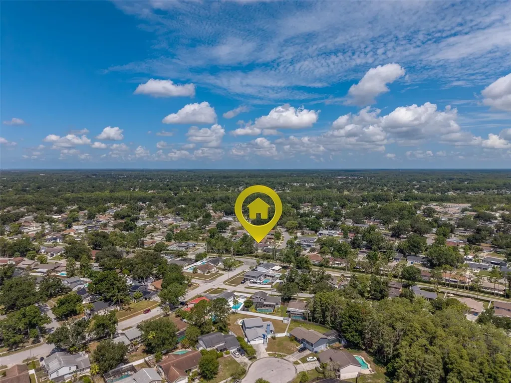 4228 Briarberry Lane Tampa FL 33624