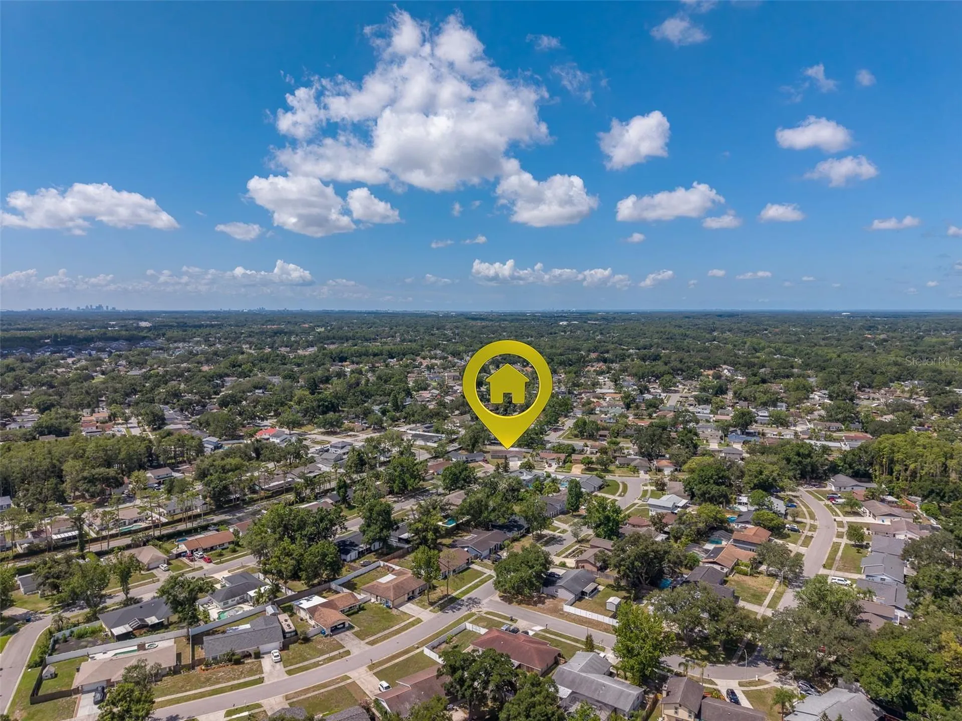 4228 Briarberry Lane Tampa FL 33624