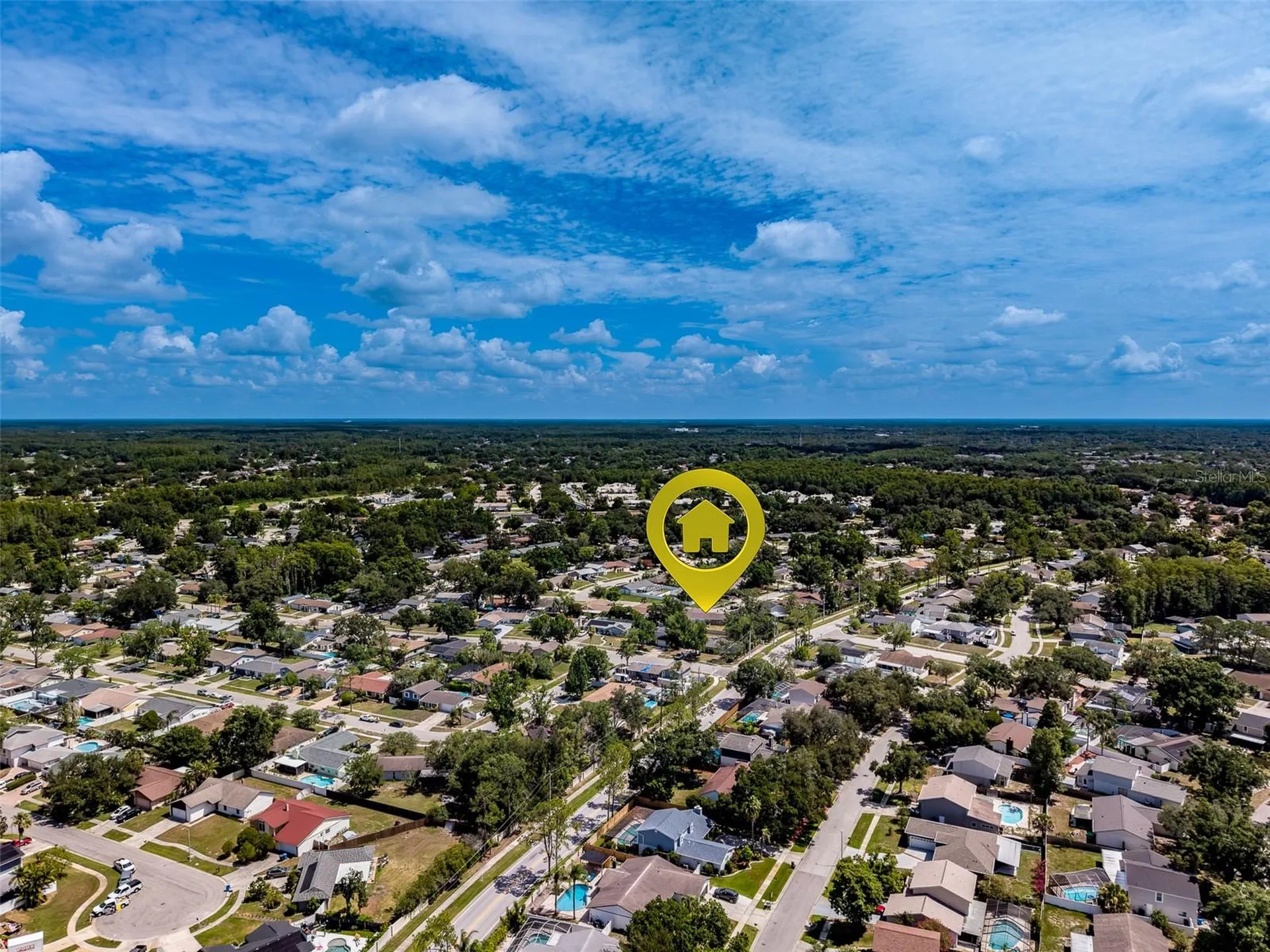 4228 Briarberry Lane Tampa FL 33624