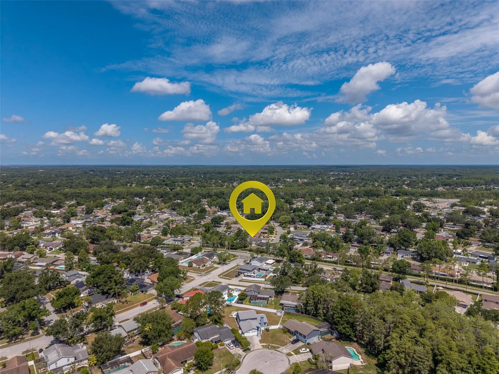 4228 Briarberry Lane Tampa FL 33624