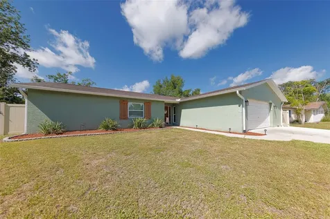 4228 Briarberry Lane Tampa FL 33624