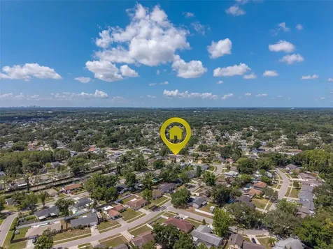 4228 Briarberry Lane Tampa FL 33624