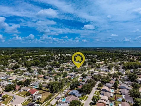 4228 Briarberry Lane Tampa FL 33624