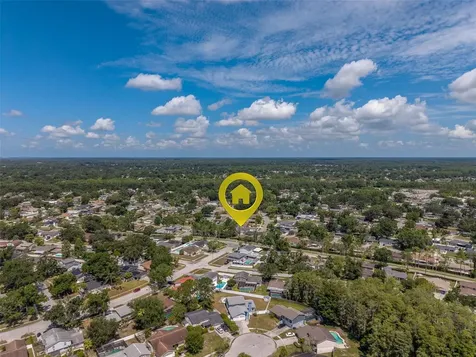4228 Briarberry Lane Tampa FL 33624